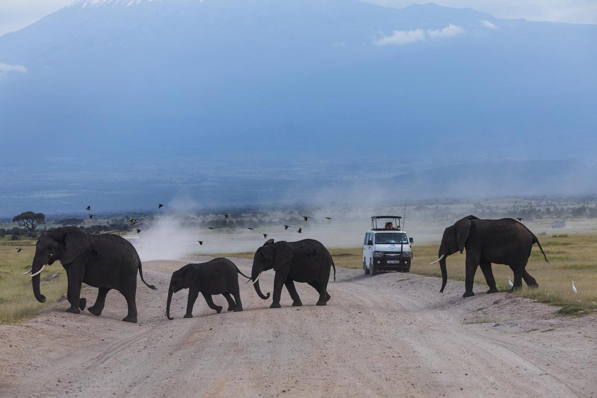Amboseli Glass House Oloitokitok Esterno foto