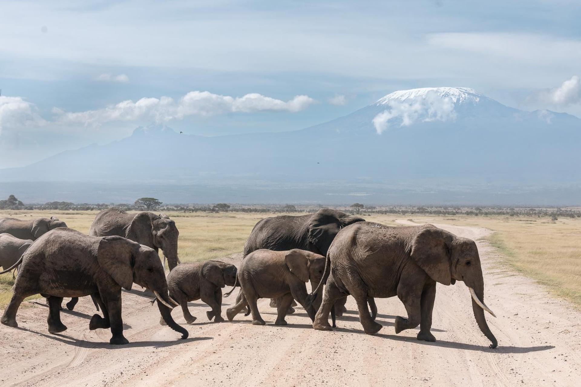 Amboseli Glass House Oloitokitok Esterno foto